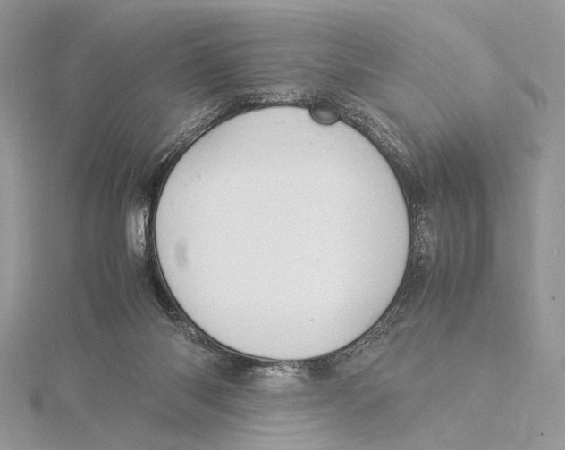 X0000115540118200912041019