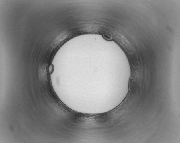 X0000115540120200912041019