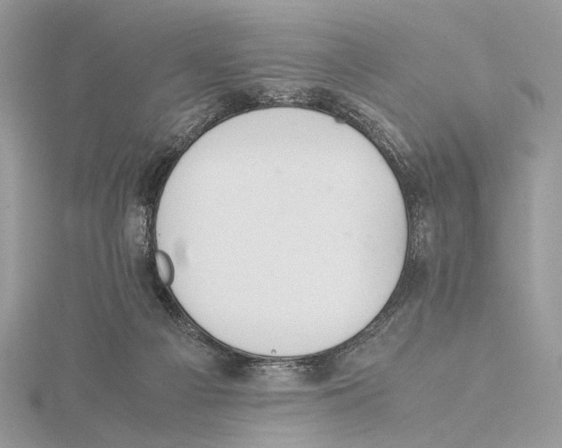 X0000115540121200912041019