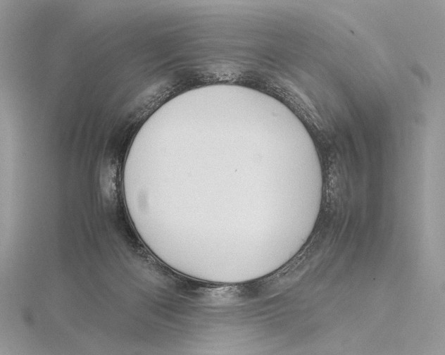 X0000115540122200912041019