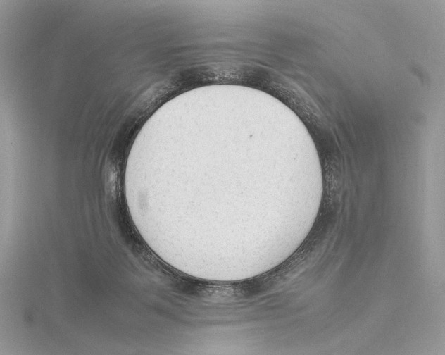 X0000115540123200912041019