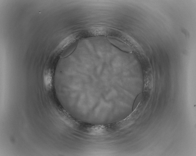 X0000115540124200912041019