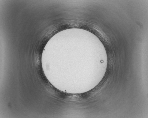 X0000115540125200912041019