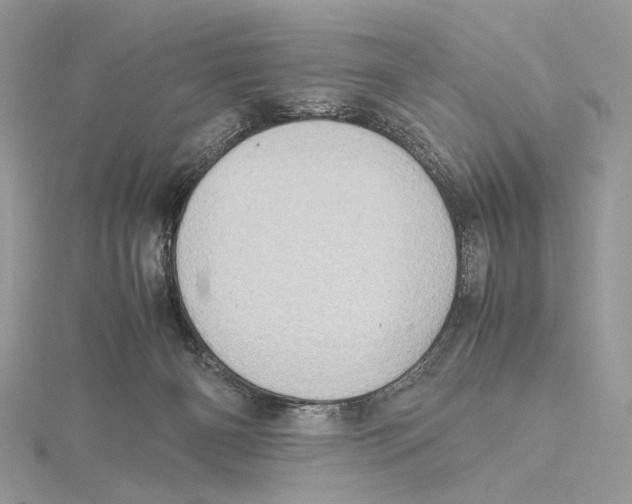 X0000115540126200912041019