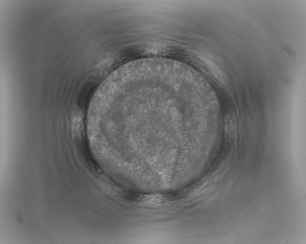 X0000115540127200912041019