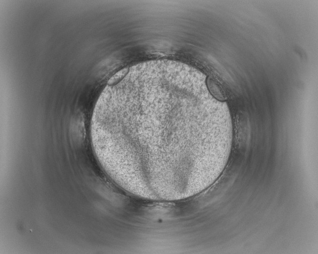 X0000115540128200912041019