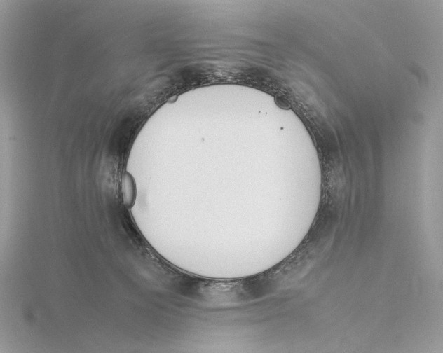 X0000115540129200912041019