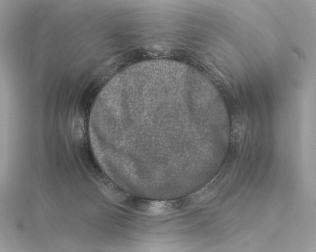 X0000115540130200912041019