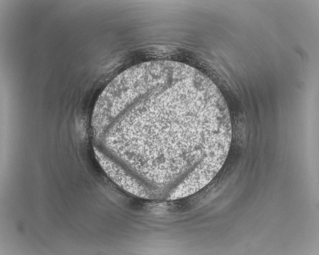 X0000115540131200912041019