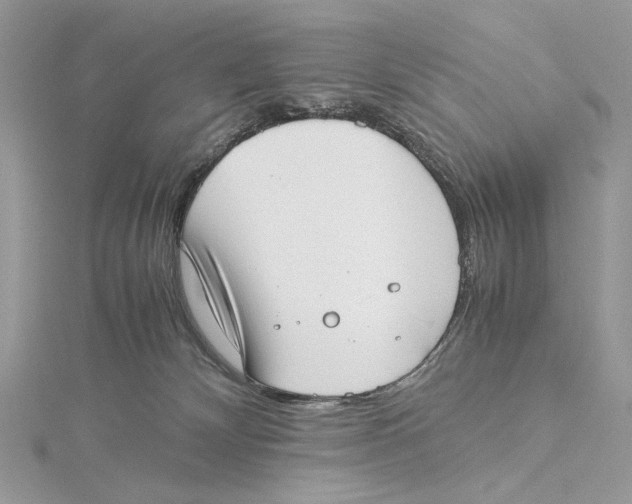 X0000115540132200912041019