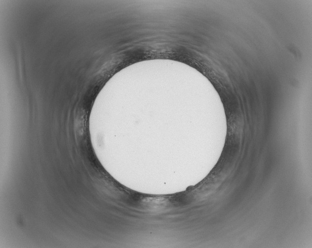 X0000115540133200912041019