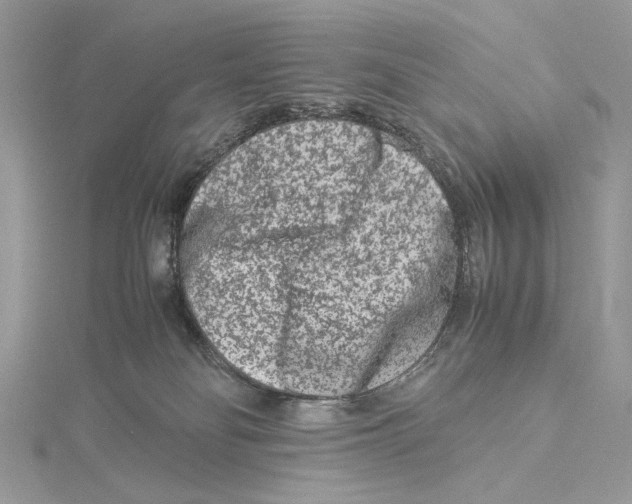 X0000115540134200912041019