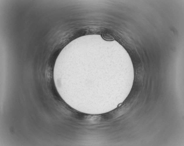 X0000115540135200912041019