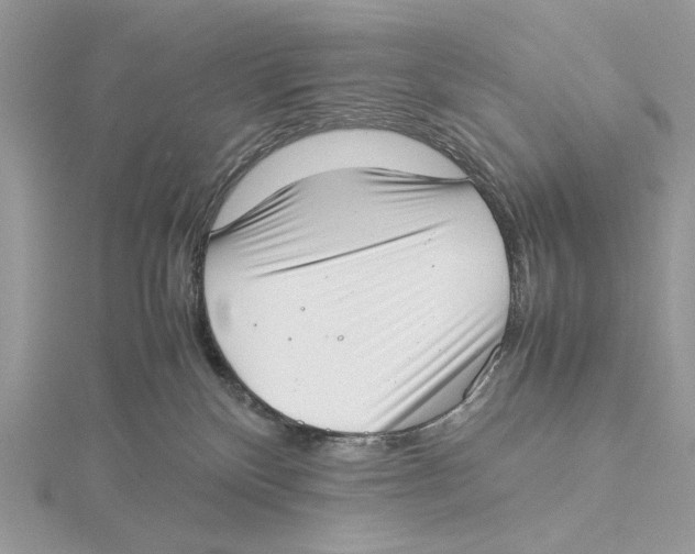 X0000115540136200912041019