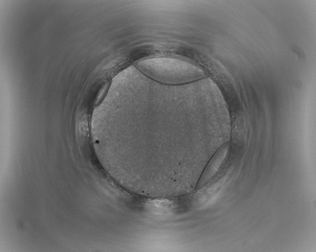 X0000115540137200912041019