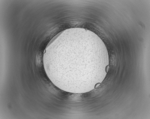 X0000115540138200912041019