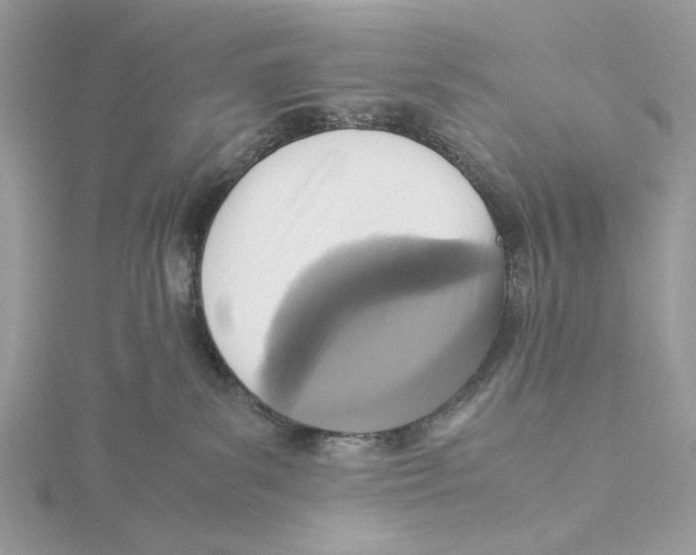 X0000115540139200912041019