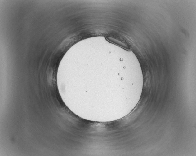 X0000115540140200912041019