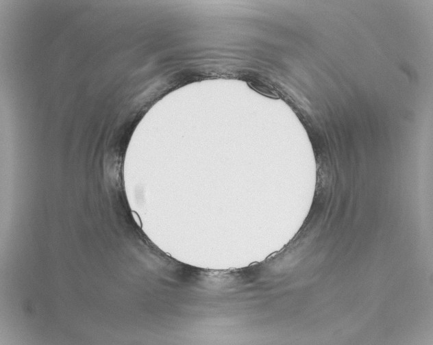 X0000115540141200912041019