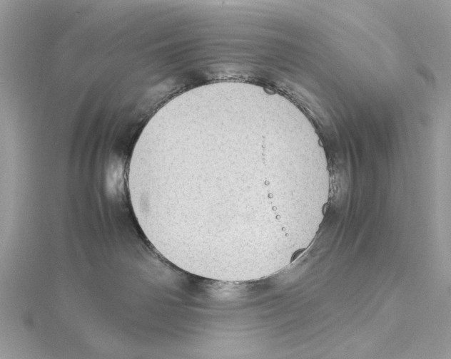 X0000115540142200912041019