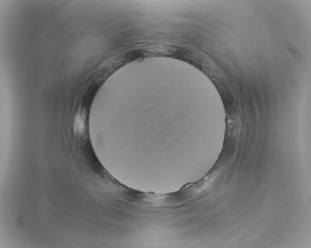 X0000115540143200912041019