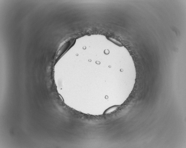 X0000115540144200912041019