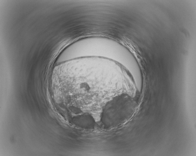 X0000115540145200912041018