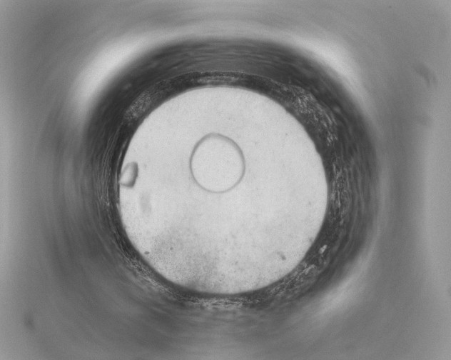 X0000115540146200912041018