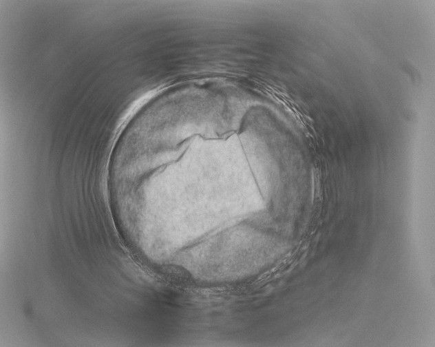 X0000115540147200912041018