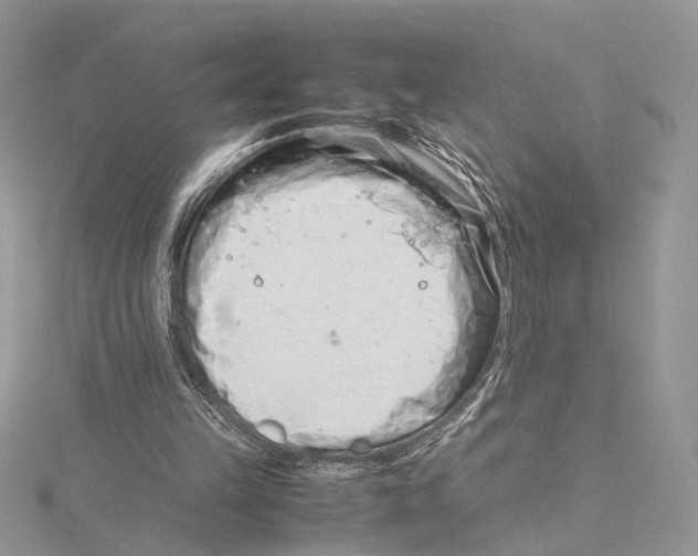 X0000115540149200912041018