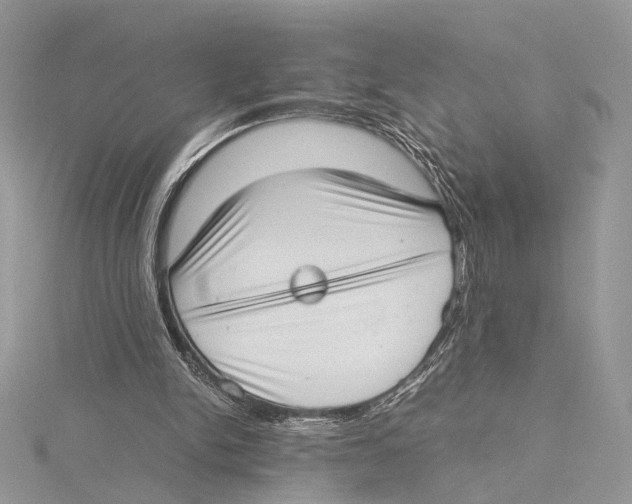 X0000115540150200912041018