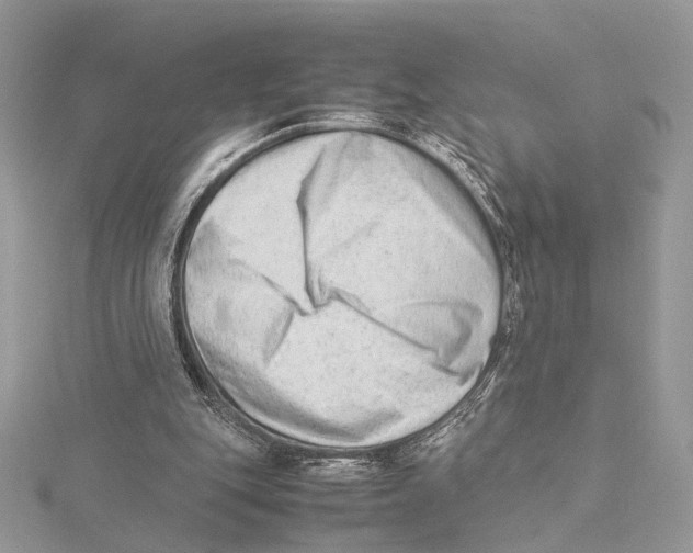 X0000115540151200912041018