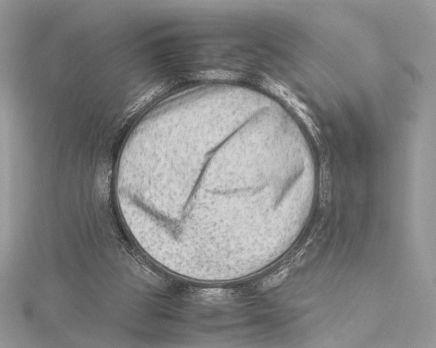 X0000115540153200912041018