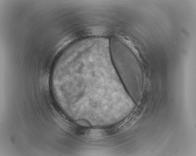 X0000115540154200912041018