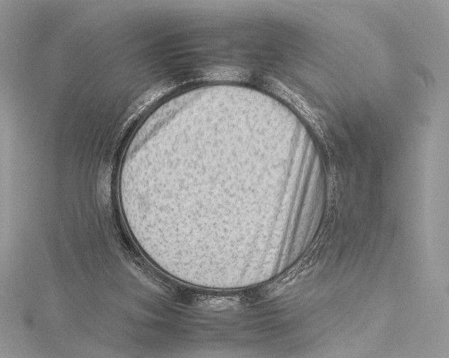 X0000115540155200912041018