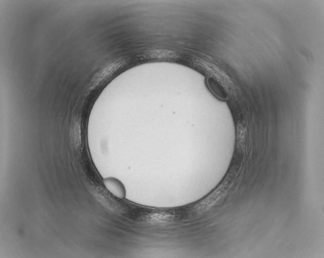 X0000115540158200912041018