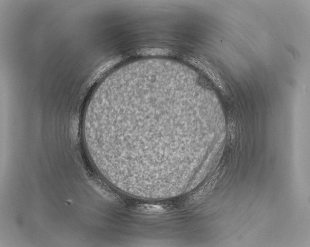 X0000115540159200912041018