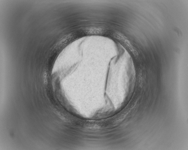 X0000115540161200912041018