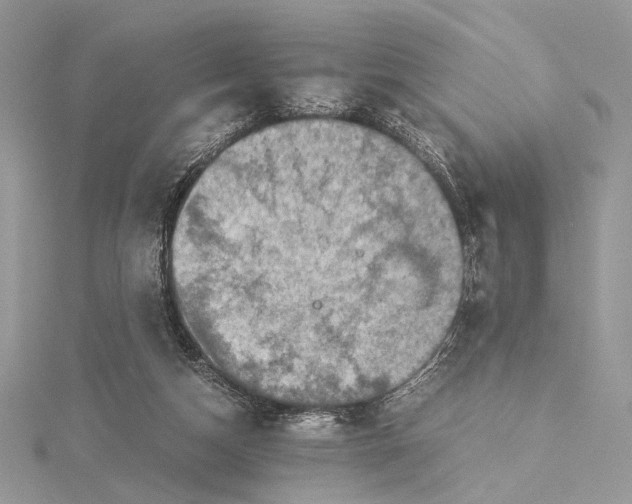 X0000115540162200912041018