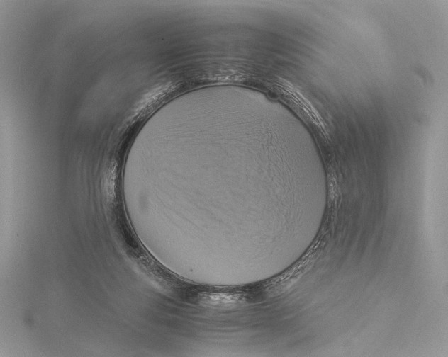 X0000115540163200912041018