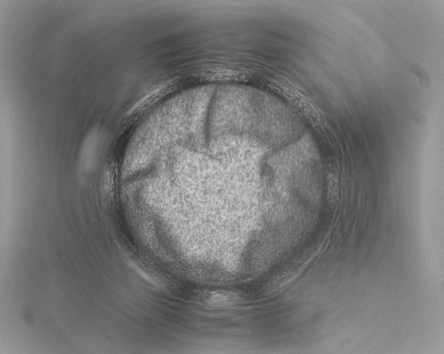 X0000115540165200912041018