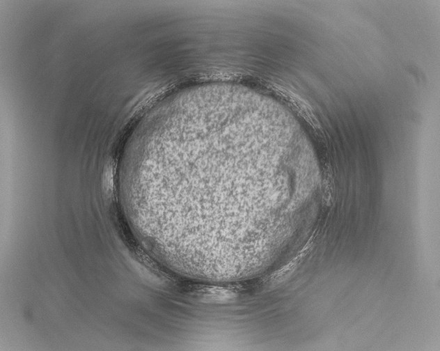 X0000115540166200912041018