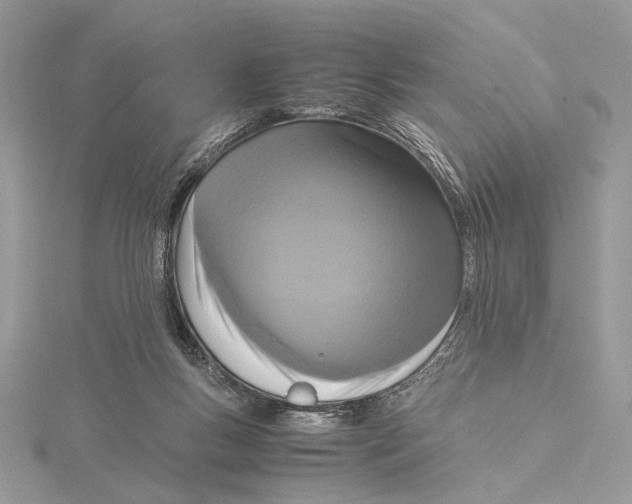 X0000115540167200912041018