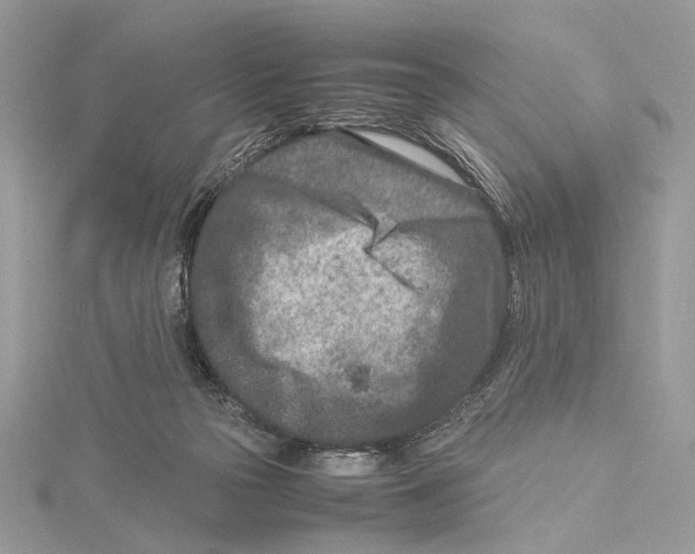 X0000115540169200912041018