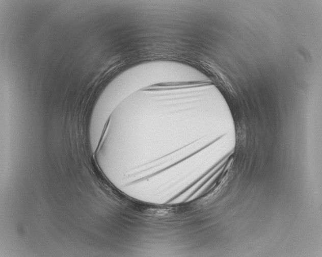 X0000115540170200912041018