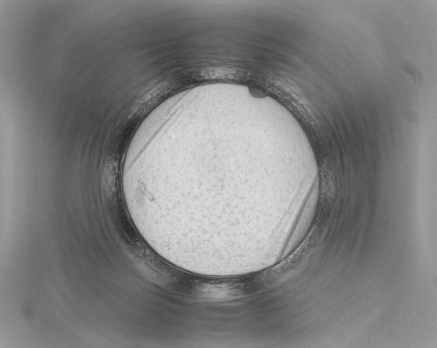 X0000115540171200912041018