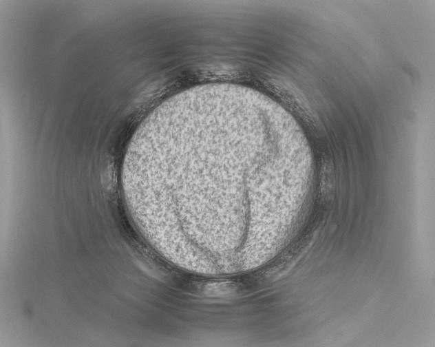 X0000115540173200912041018