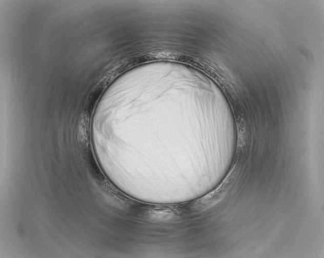 X0000115540175200912041018