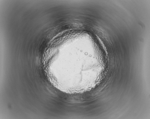 X0000115540177200912041018