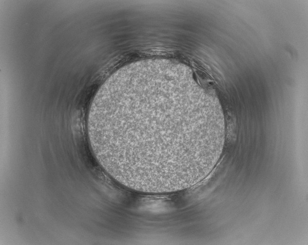 X0000115540179200912041019